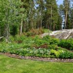 Det tar sig i stora planteringen 😁 Nationaldagen 6 juni 2025