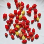 Vita och röda Månadssmultron 25 juli